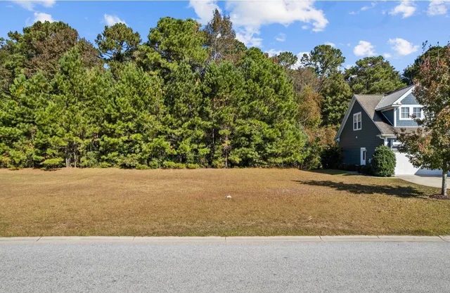 3029 Moss Bridge Ln.