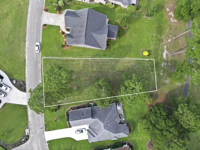 347 Foxtail Dr.