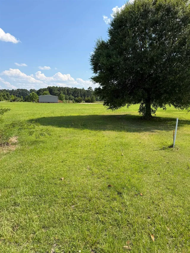 TBD Strickland Rd.