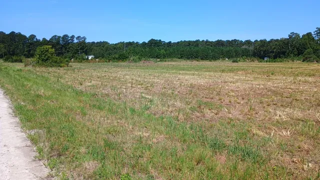TBD Strickland Rd.