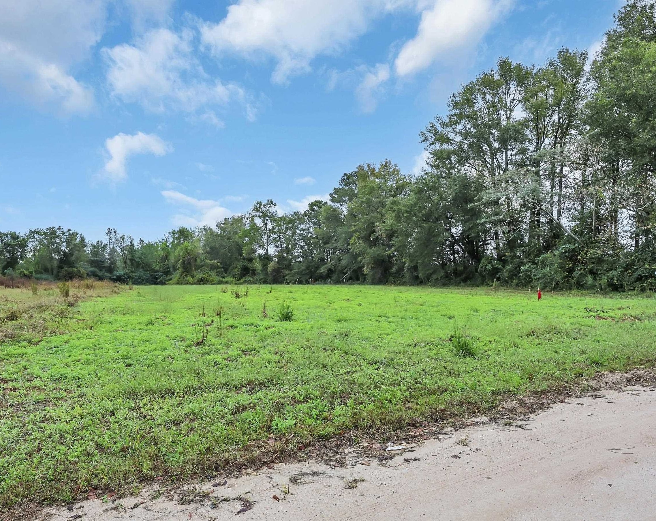 TBD Willow Grove Dr. – Loris, SC
