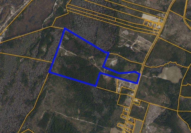 TBD N Nichols Hwy. – Nichols, SC