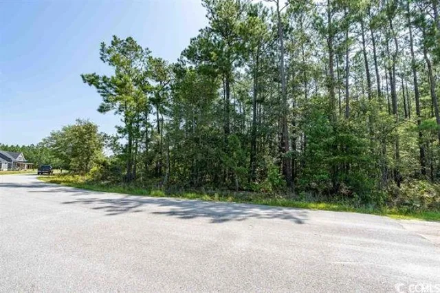 1535 Wilderness Ln.