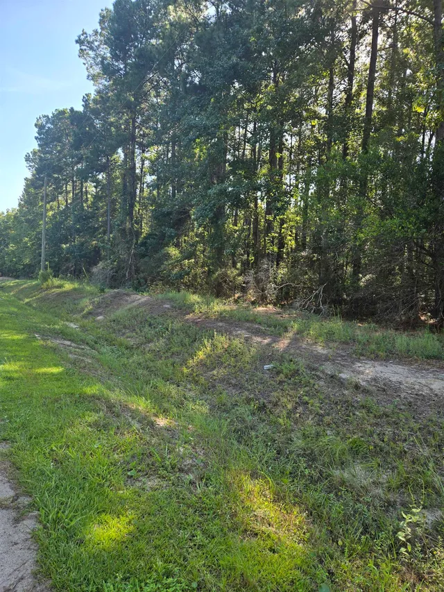 Lot 3 Freewoods Rd.