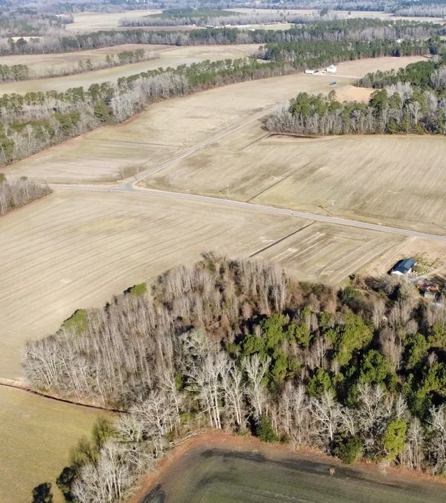 TBD Pinckney Rd.